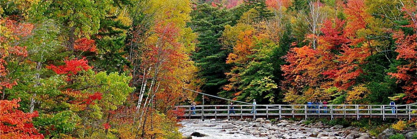 New England Fall Foliage